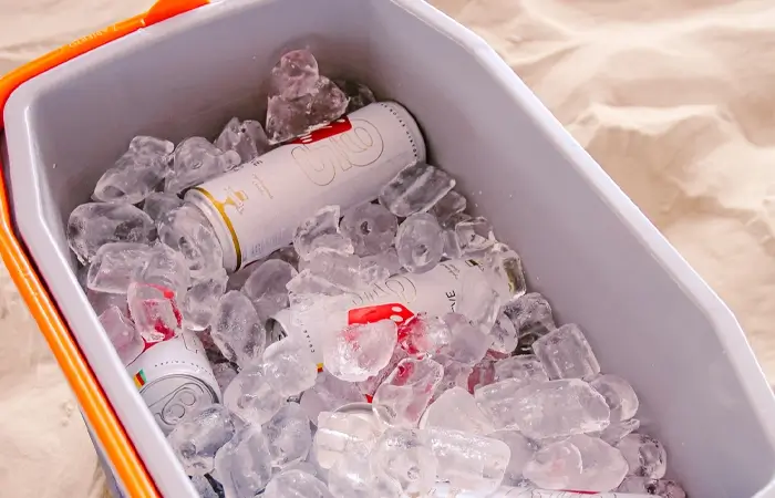 Caixa térmica com cerveja dado bier 
